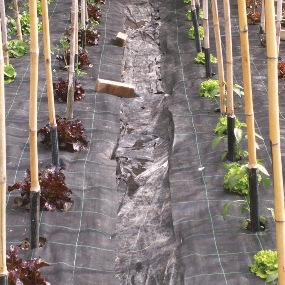 Telo Per pacciamatura Nero 3,30x100 mt 100gr/mq anti erbacce Anti UV Permeabile