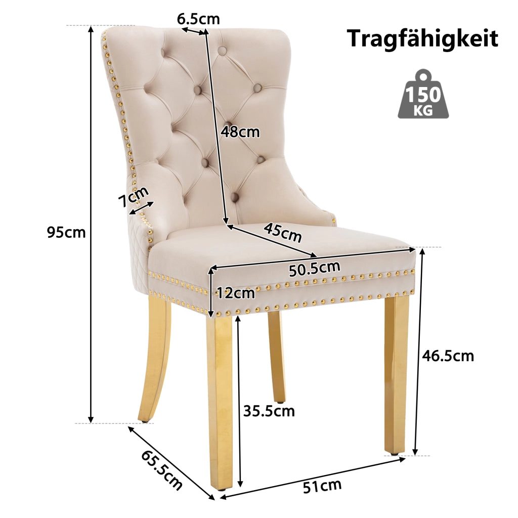Sedia da pranzo (sedia da cucina, sedia da soggiorno con battente porta unico sul retro, 2 pezzi), sedia imbottita con finiture a borchie, gambe di su