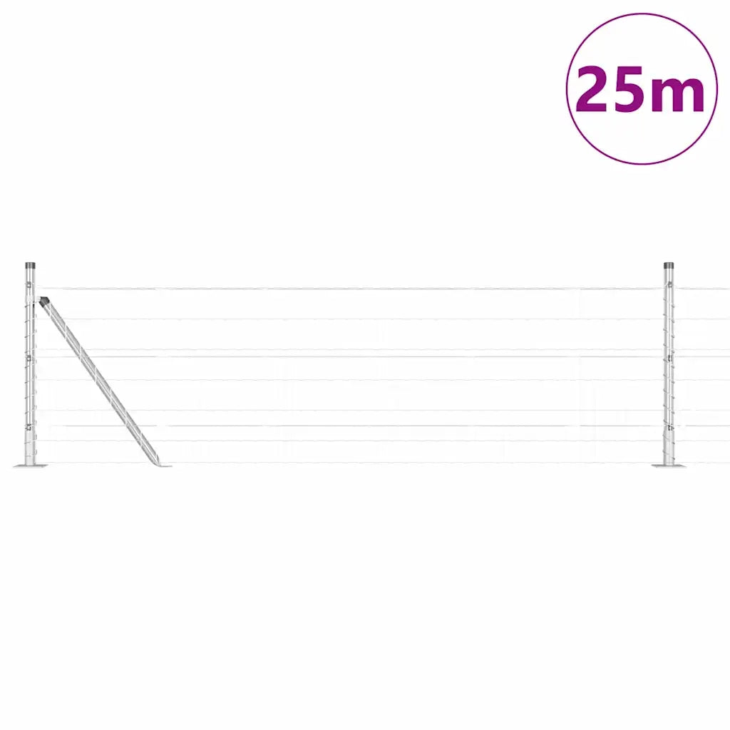 Recinzione con Posto Argento 0,4 x 25 m Acciaio