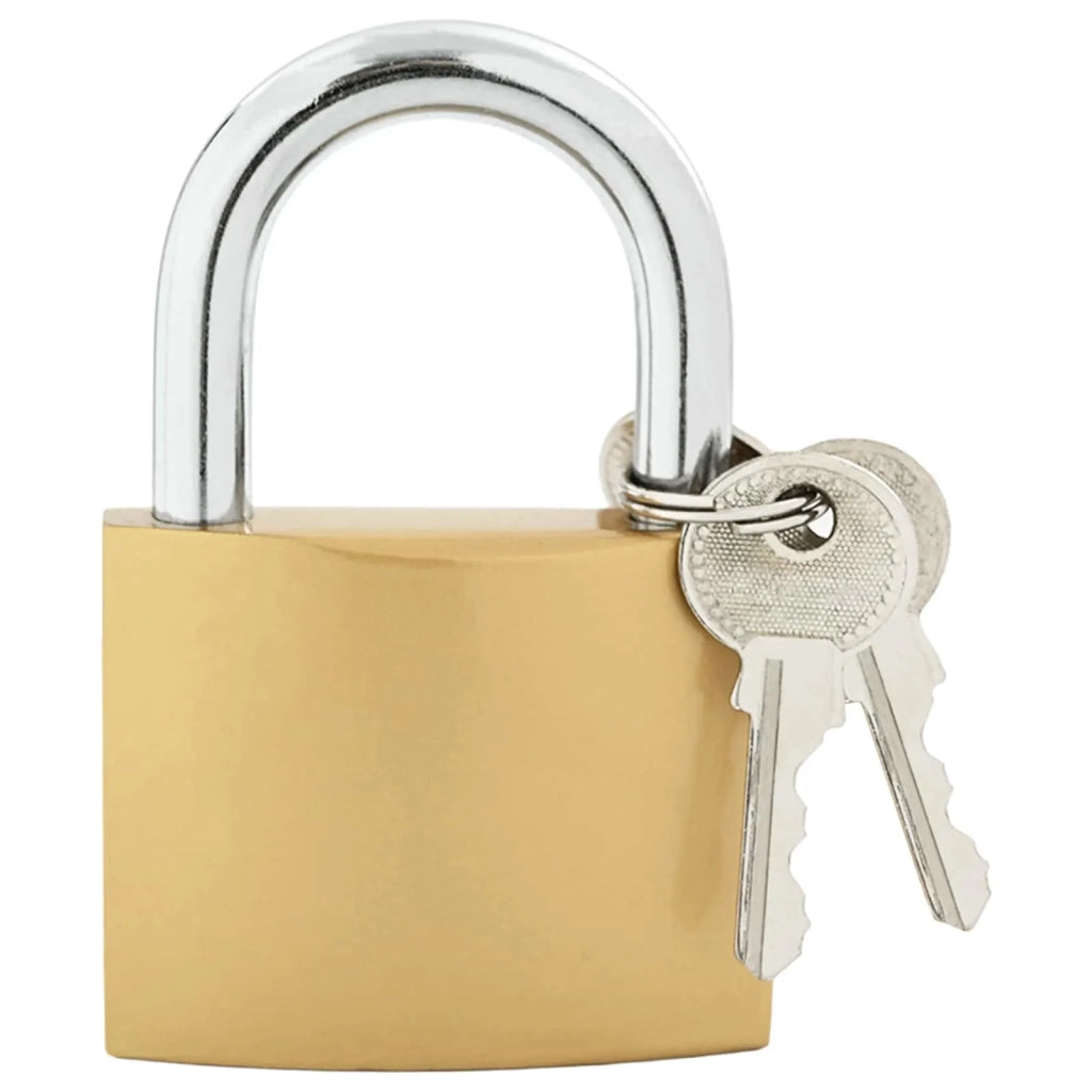 U Lock con Chiavi 12 pcs Ottone Ferro 42021940