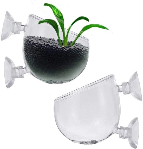 Due contenitori per piante acquatiche, contenitore per piante acquatiche con morsetto, contenitore per piante acquatiche in cristallo vetro Crystal, per acquario