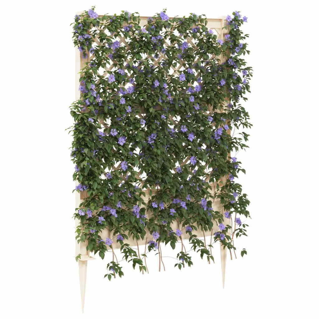 Trellis con Punta Bianco 99 x 6 x 165 cm PP CFW1742422