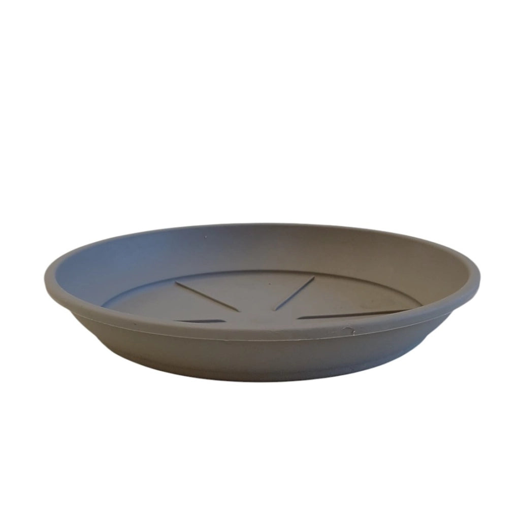 SOTTOVASO COLOR D.20XH3,2CM ASSORTITO