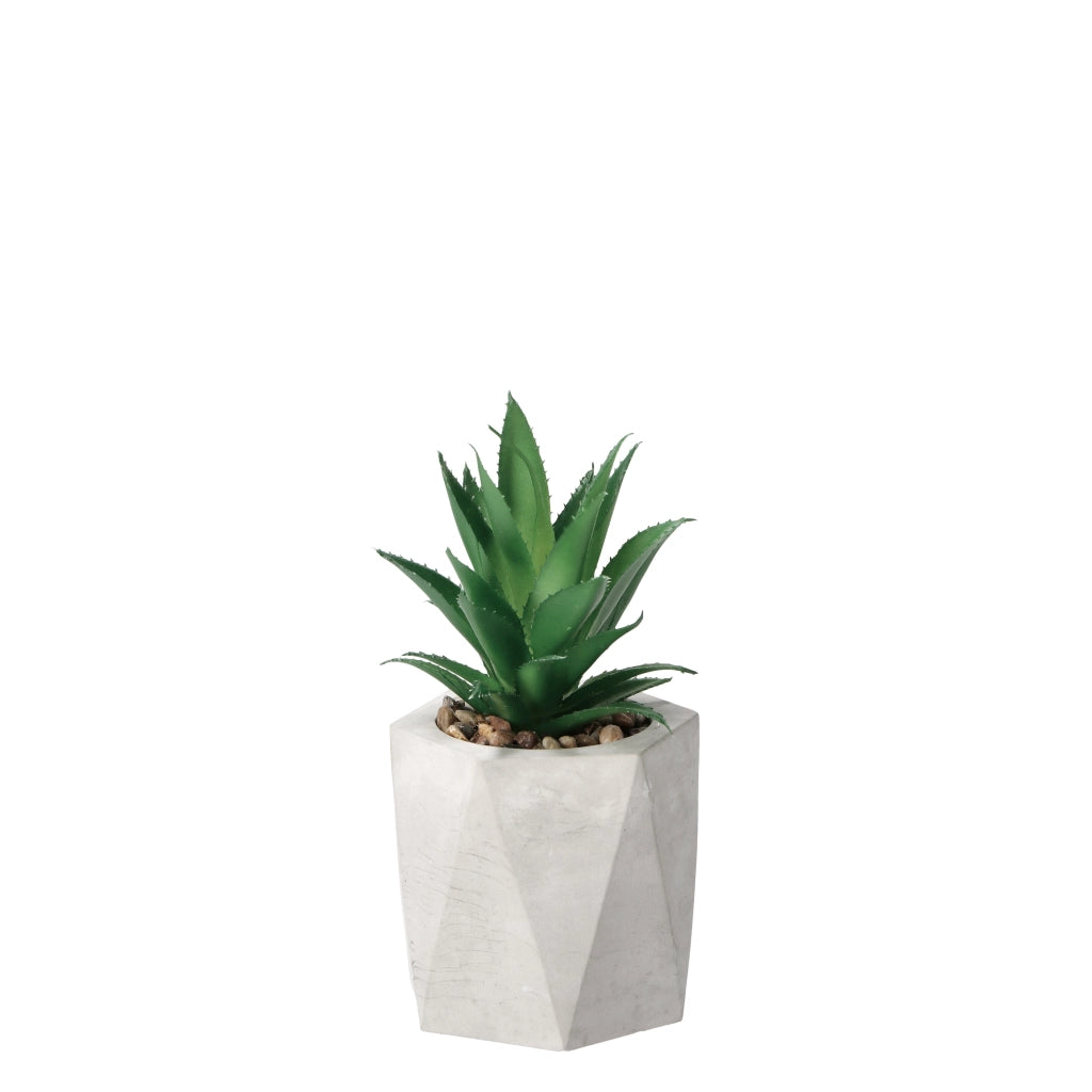 VASO CON PIANTA GRASSA DECORATIVA D.9XH19CM IN 2 C