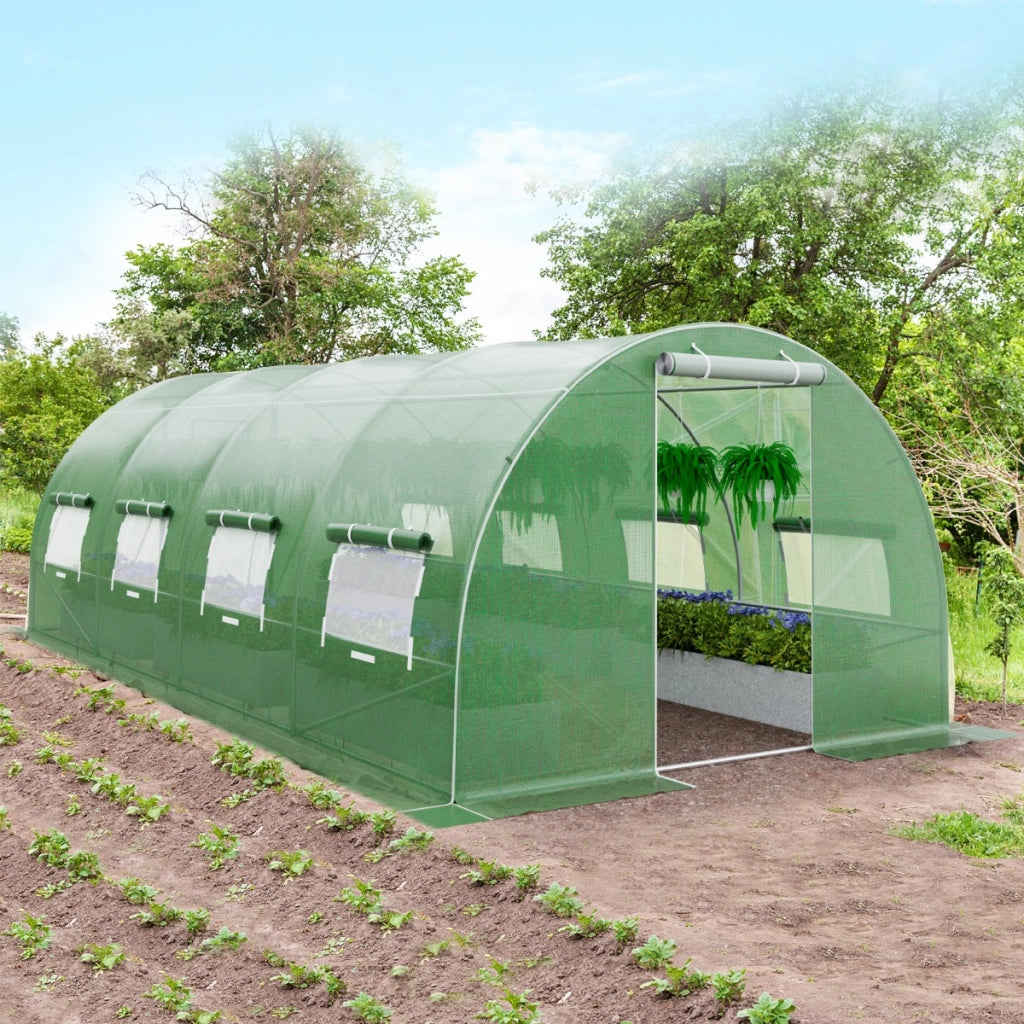 Serra per piante da giardino con 10 finestre avvolgibili 2 porte con cerniera, Serra tunnel per orto Verde-Serre da giardino