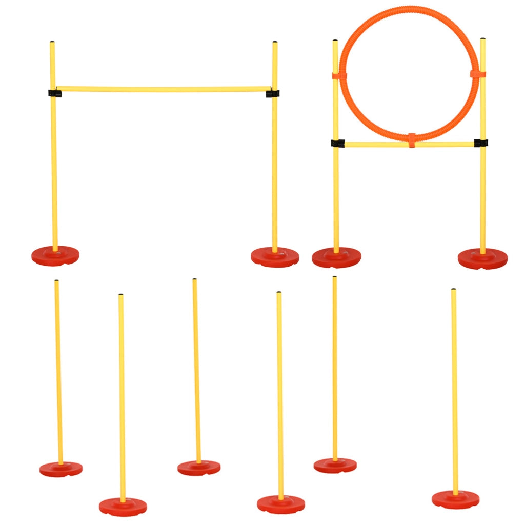 Set Agility per Cani 3 Pezzi ¨C Minimal ¨C Grigio/Verde