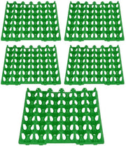 Esercizio plastico per uova - 5 pezzi - verde