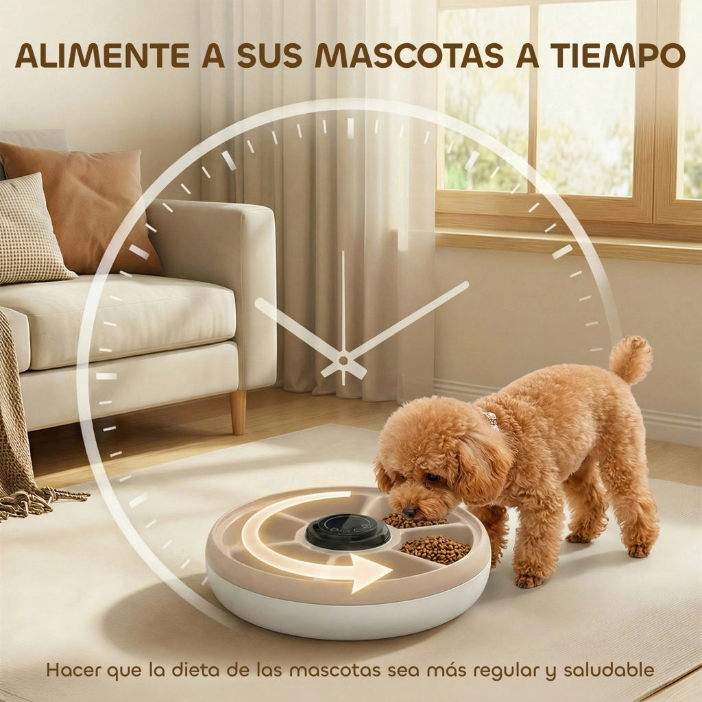 Alimentatore Automatico per Gatti e Cani ¨C zephmum ¨C 6 Ciotole con Timer e Display LED