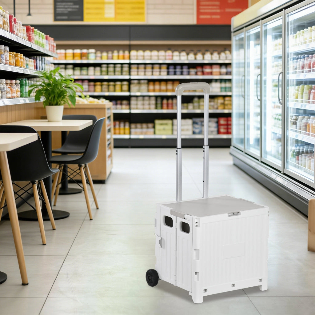 Carrello per Supermercato con 2 Ruote e Manico Regolabile ¨C zephmum ¨C Bianco 41,5x32,5x85 cm