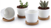 Set di Vasi per Succulente - 4 pezzi - Bianco - Ceramica