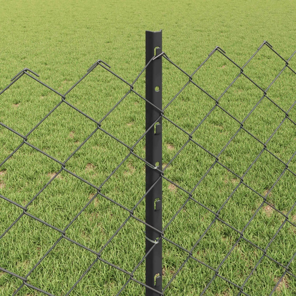 Recinzione a maglie con palo 25 x 0,8 m Acciaio zincato Grigio 3336279