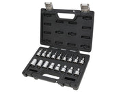 VALIGETTA CON 17 CHIAVI BETA A BUSSOLA TORX SERIE 923E-FTX/C17