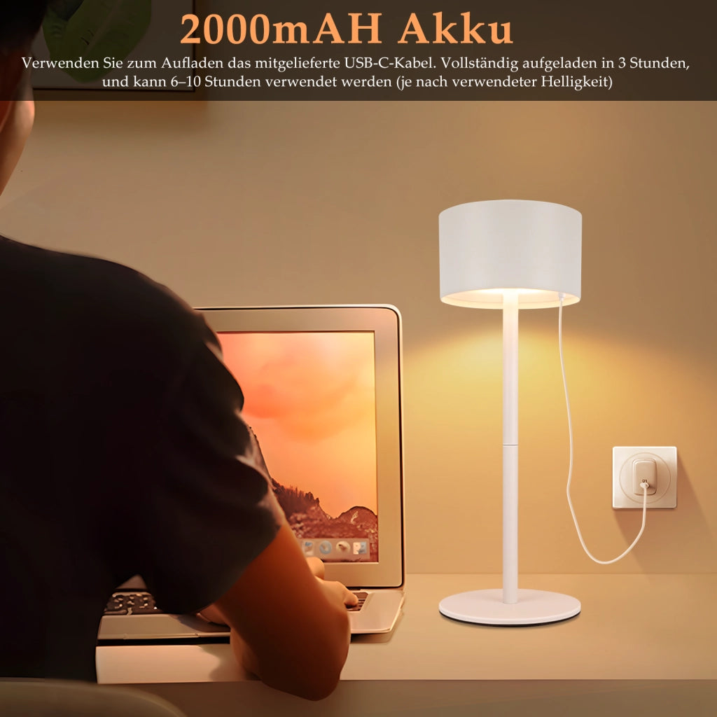 ZMH Lampada da tavolo set 2 pezzi touch dimmerabile 3 temperature colore per camera letto soggiorno