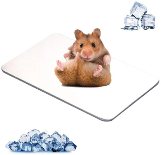 Koelcuscino per Animali Domestici - Materiale di Raffreddamento per Conigli e Hamster - Piastra di Raffreddamento in Lega di Alluminio - Leggero - 120 × 80 mm - Eccellente Conduttività Termica