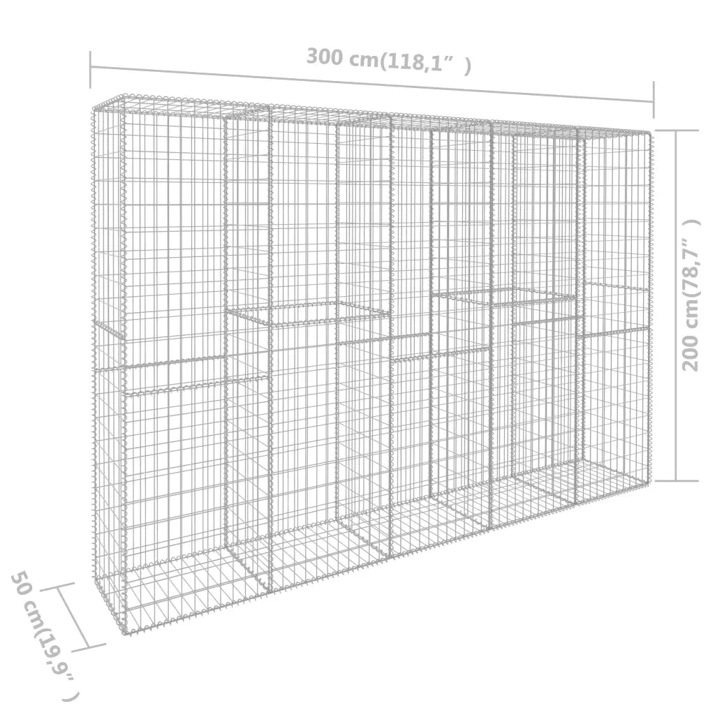 Gabbione con Copertura in Acciaio Zincato 300x50x200 cm