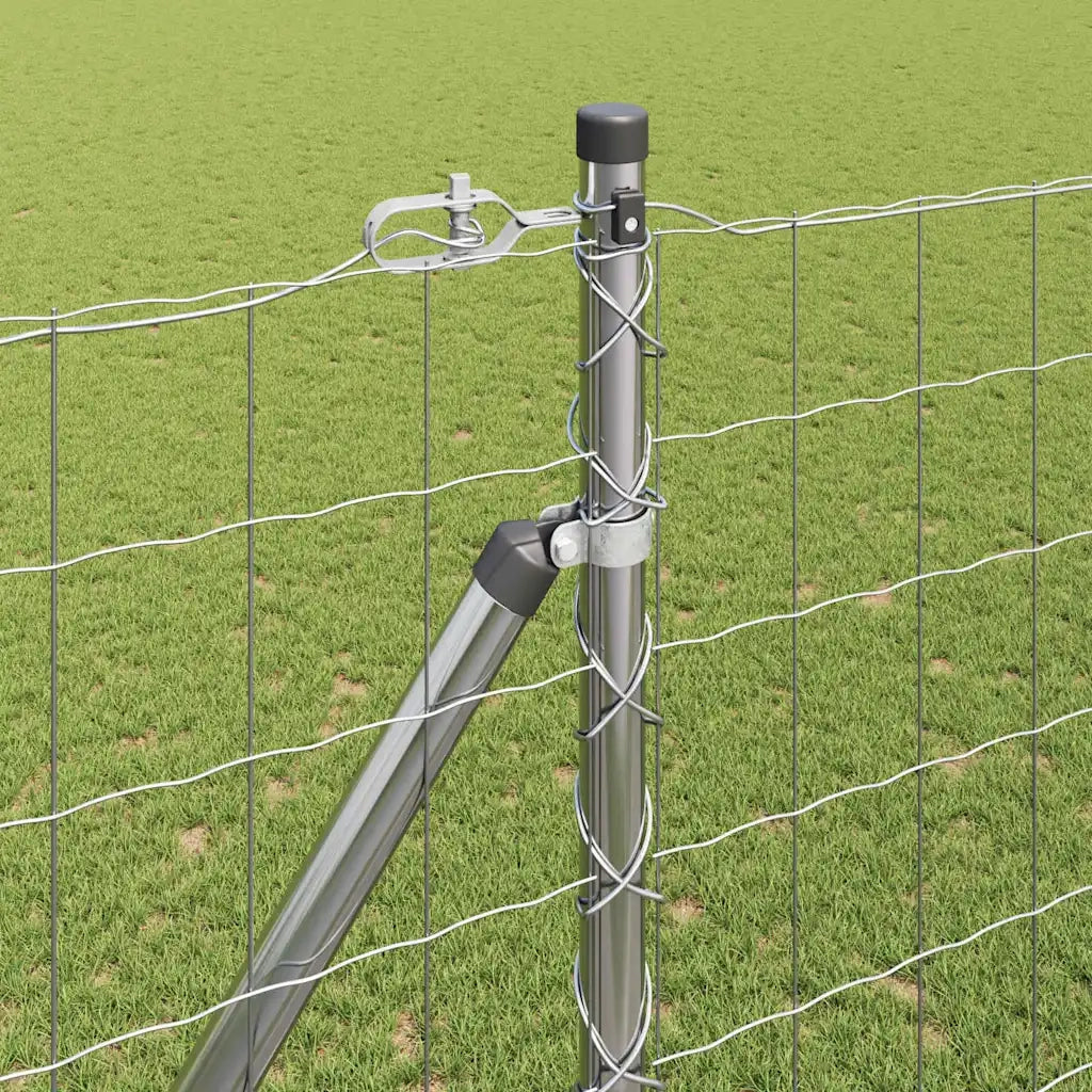 Recinzione da Giardino | Recinzione con Posto Argento 1,6 x 10 m Acciaio