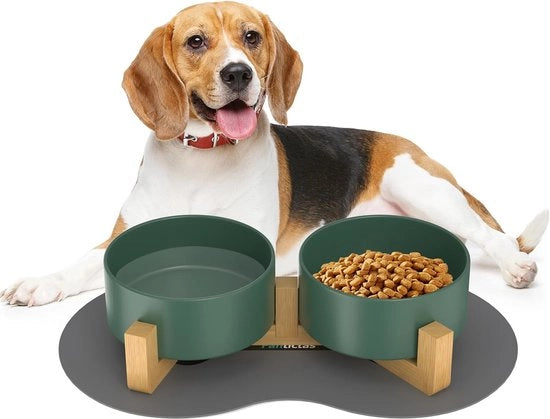 Ciotola per cani