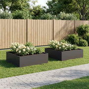Vaso da giardino 2 pz Nero 100 x 100 x 30 cm 8005079
