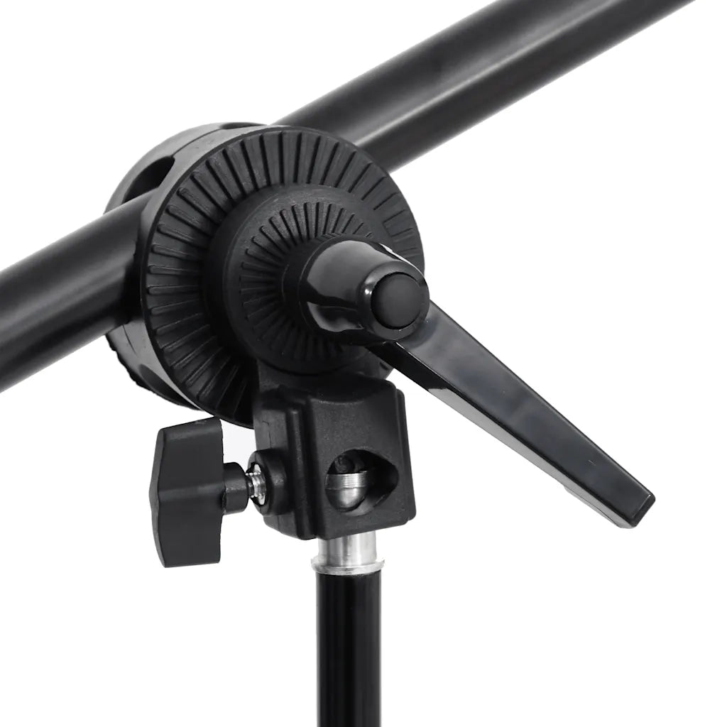 Kit per Studio Fotografico con Set Luci, Fondale e Riflettore 3094697