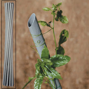 CANNETTA PVC P/PIANTE VIGNA D 27XH180 CM- EDILMED- 20,0 pz