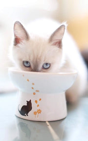 Set di vasca e ciotola per gatto - Porcellana - Prevenzione di reflusso - Senza stress - Dimensioni piccole-medie