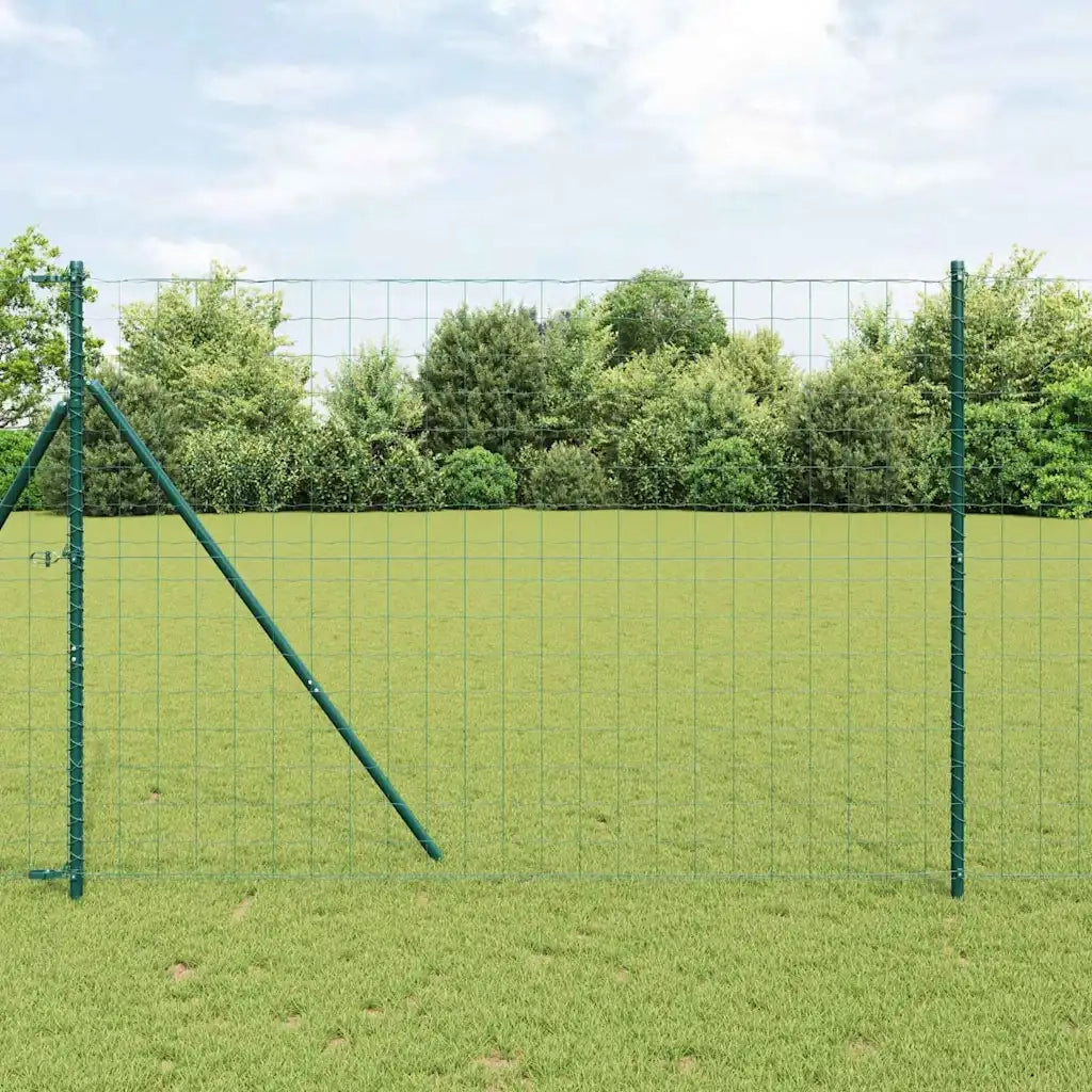 Recinzione Euro Verde 1.6 x 10m Ferro rivestito in PVC 42004369