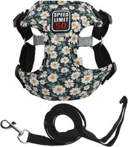 Harnas/ Lijnset per Cani - Riflettente - Sicurezza - Polyester/Katoen - Adatto per Cani Piccoli/Medie Taglie - Cinture per Cani