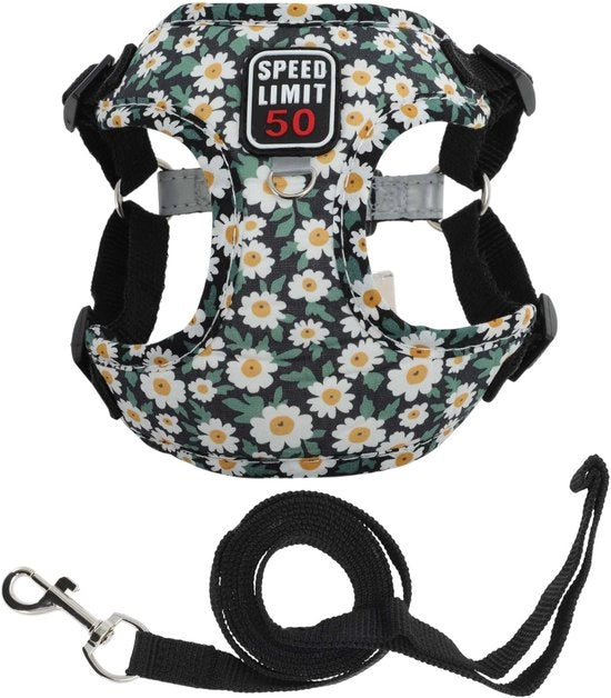 Harnas/ Lijnset per Cani - Riflettente - Sicurezza - Polyester/Katoen - Adatto per Cani Piccoli/Medie Taglie - Cinture per Cani