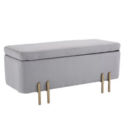 EasyComfort Panca Contenitore Imbottita per Soggiorno e Camera da Letto, 100 x 40 x 42 cm, Grigio