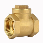Terugslagklep in rvs 1-1/4" BSP con filo interno - Elevata qualità Terugslagklep unidirezionale - Prevenire il reflusso d'acqua.