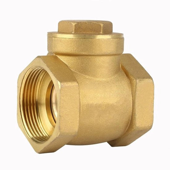 Terugslagklep in rvs 1-1/4" BSP con filo interno - Elevata qualità Terugslagklep unidirezionale - Prevenire il reflusso d'acqua.