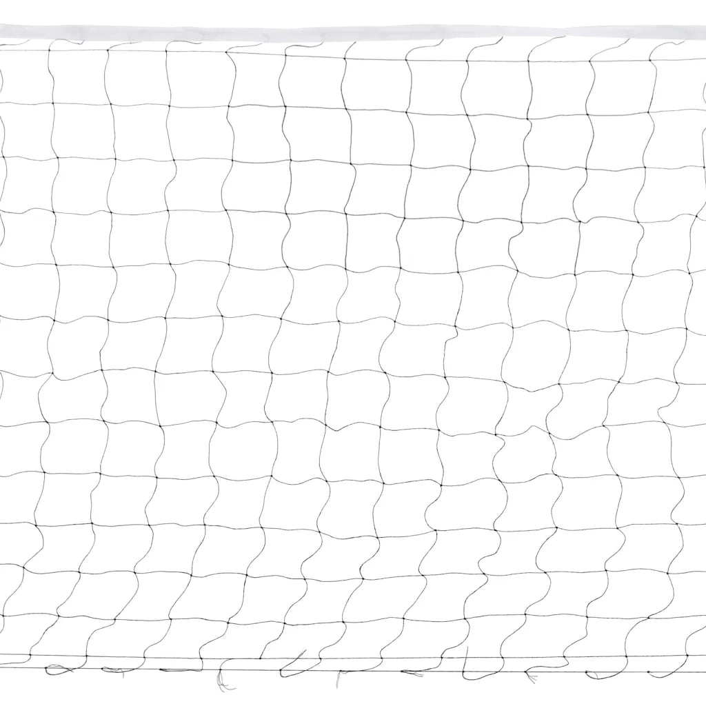 Set da Badminton con 4 Racchette e Rete 620x151 cm CFW6497740