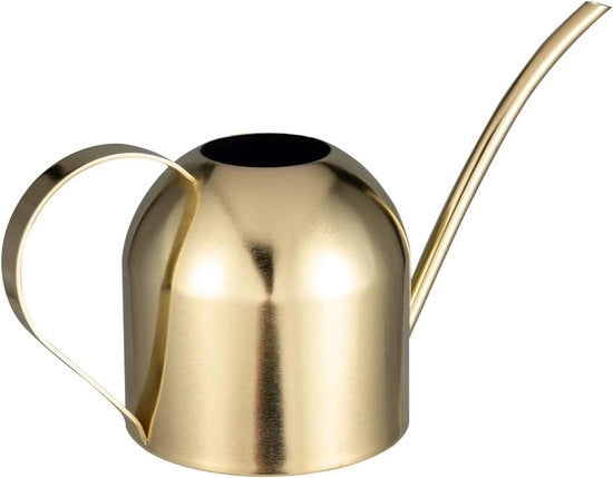Giocatore Indoor per Piante da Interno - Bacinella in Acciaio Inossidabile con Fusto Lungo - Oro 

(Nota: ho mantenuto la specificazione "Oro" poiché sembra riferirsi alla finitura del prodotto e non a un marchio specifico)