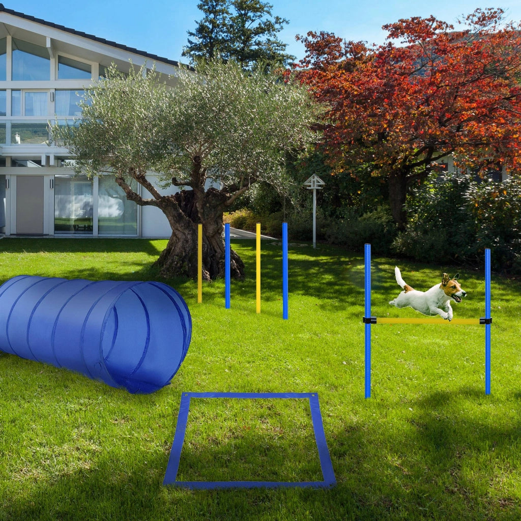 Set Agility per Cani con Tunnel e Stacchetti ¨C Minimal ¨C Blu