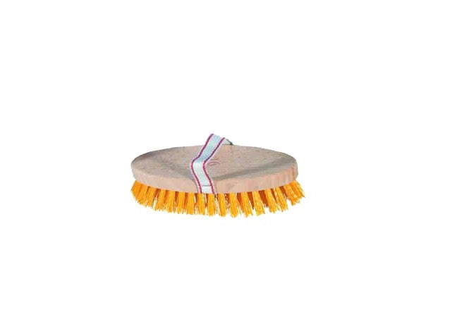 SPAZZOLA CAVALLO IN PVC 220x95 mm