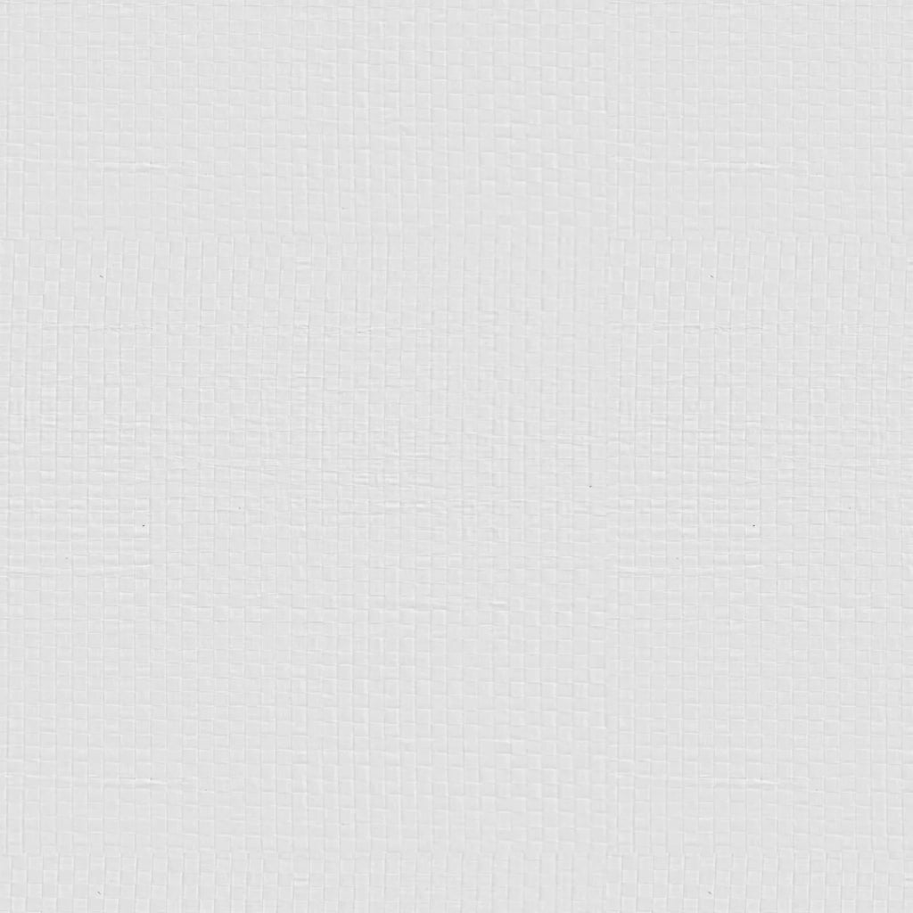 Sacchi Intrecciati 50 pz Bianco 40 x 60 cm PP 42032361