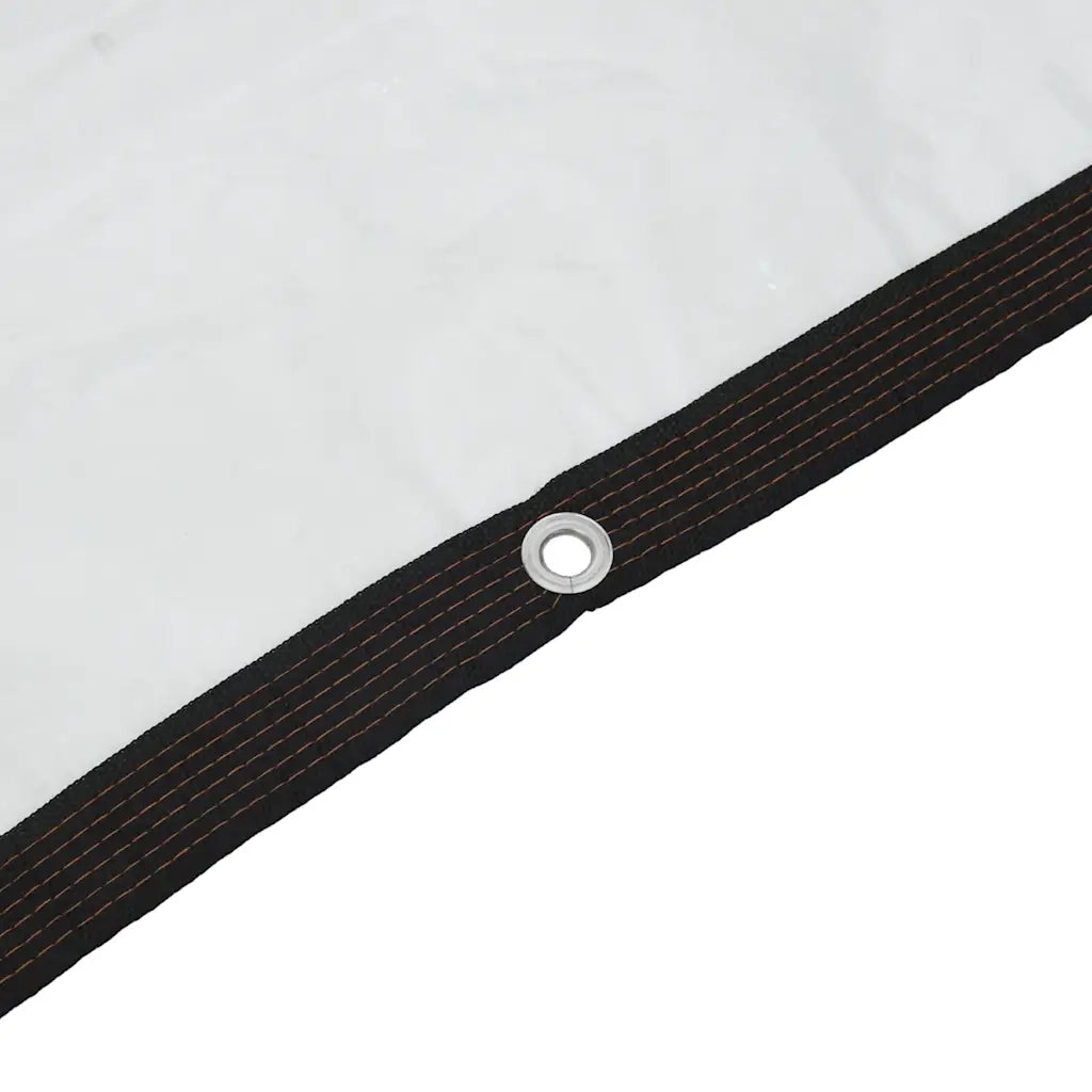 Telone trasparente con occhielli 3x3 m in polietilene 4018555