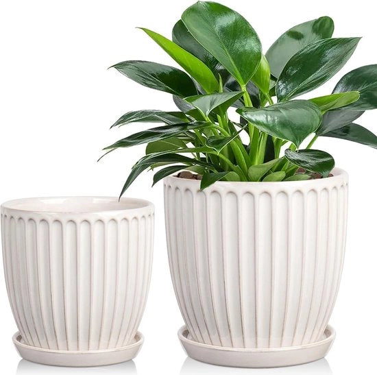 Contenitore per piante - Contenitore per piante in ceramica bianca 13 cm 15 cm con fori di drenaggio - Vasi moderni per succulente cactus orchidea

Modello: 
Dimensioni: 13 cm 15 cm
Materiali: Ceramica
Caratteristiche: Fori di drenaggio