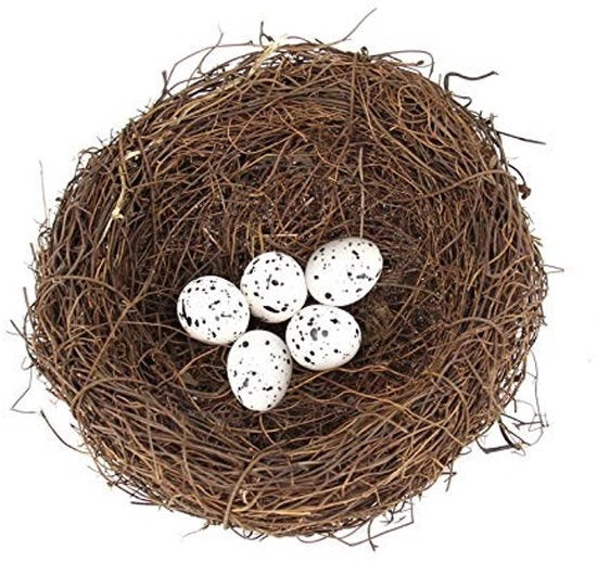 Nido per Uccelli con 5 Uova Finte - Nido Artificiale - Manufatto a Mano - Decorazione Pasquale - Materiale Sostenibile Rotangras - Decorazione Creativa Unica