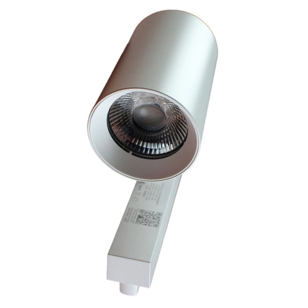 2 Pezzi Faro Bianco Mono Fase 30W 3000K