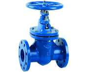 SARACINESCA IN GHISA CORPO OVALE PN16 DN100
