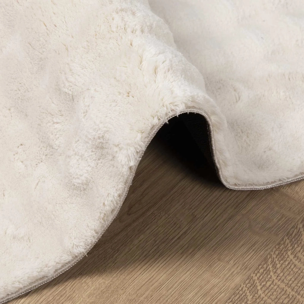 Tappeti per area SIROLO Beige 150 x 80 cm Poliestere 42022739