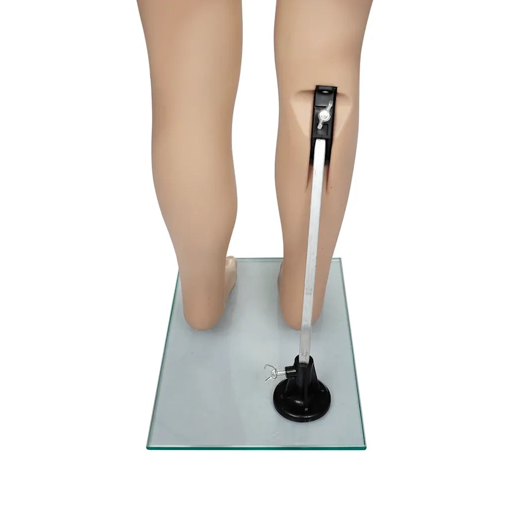 Manichino Bambino A CFW4955068