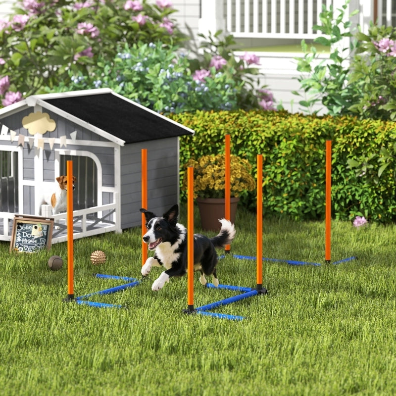 Set di agility per cani, equipaggiamento di agility in 3 pezzi con pali da slalom, borsa per il trasporto, set di allenamento per cani di tutte le