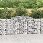 Cesti Gabbioni ad Arco 20 pz 300x30x100/120 cm Ferro Zincato 3146535