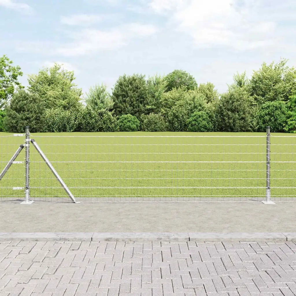 Recinzione da Giardino | Recinzione con Posto Argento 0,6 x 10 m Acciaio
