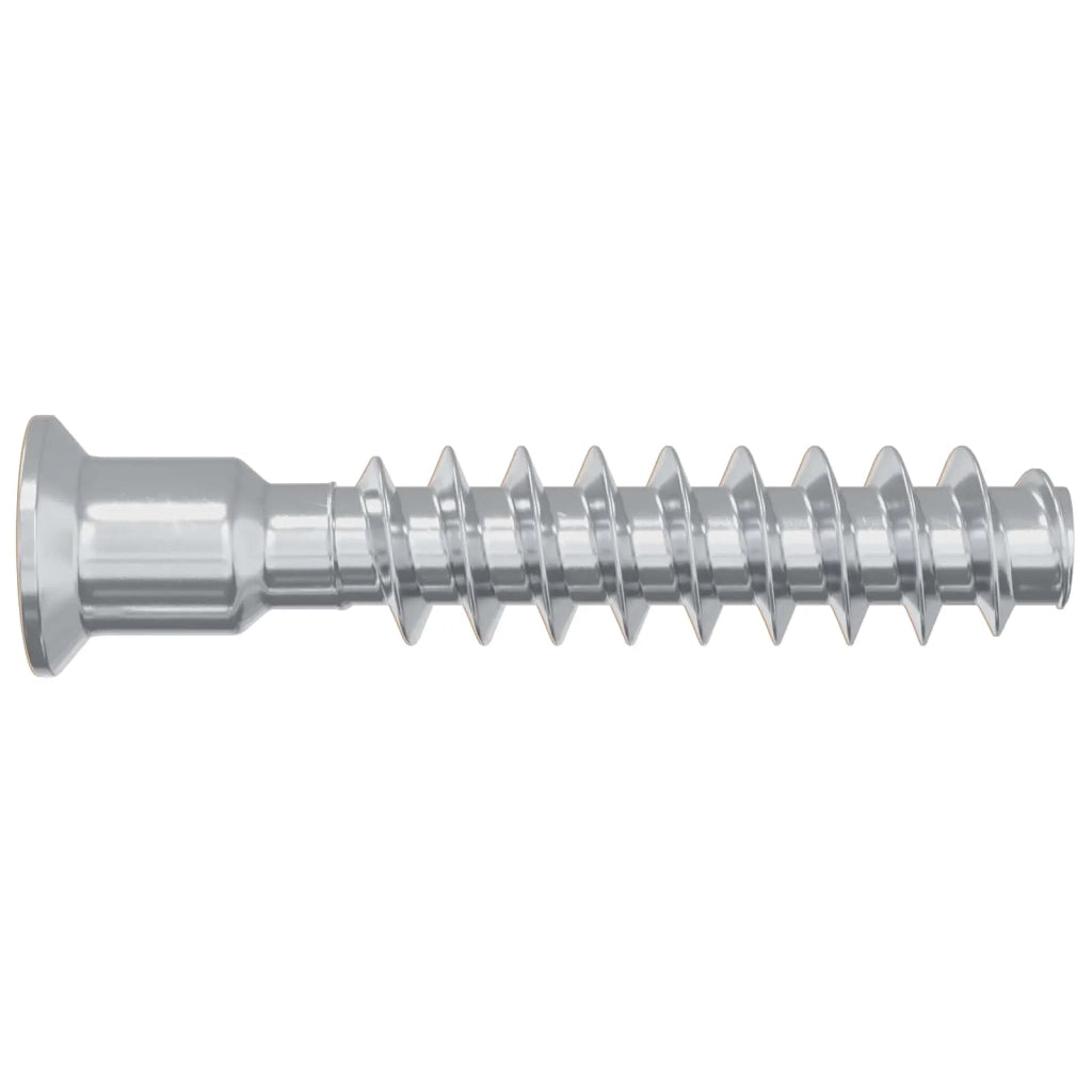 Vite a testa cilindrica 2 pcs Argento M7 x 40 mm Acciaio 864379