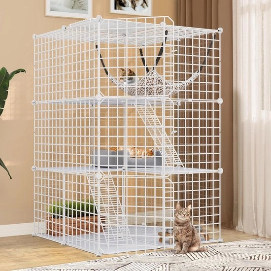 Banchina per gatti - Casetta per gatti - Recinto per gatti - Banchina per gatti - Banchina per gatti