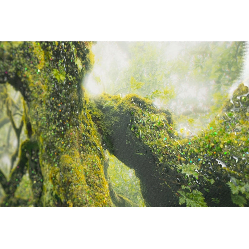 Stampa Su Tela Laccata Con Cornice Foresta cm 90x4x60