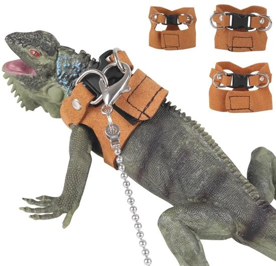 Abbigliamento per Reptili Flessibile - 3 pezzi - Multifunzionale - Adatto a Gekko/Leguaan/Hamster - Altezza della cintura 3-6,5 cm